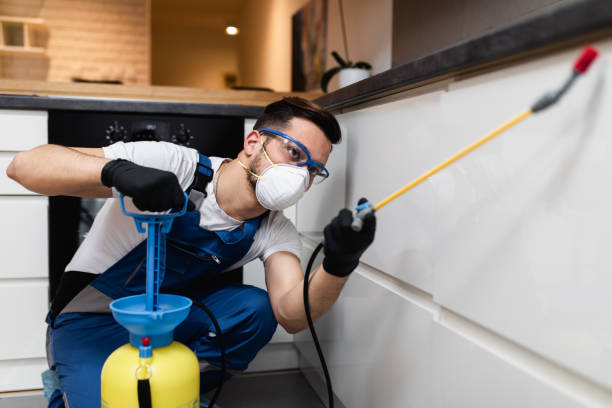Best Flea Control Services  in Germantown, IL