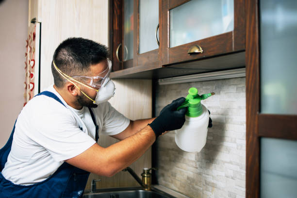 Professional Pest Control in Germantown, IL