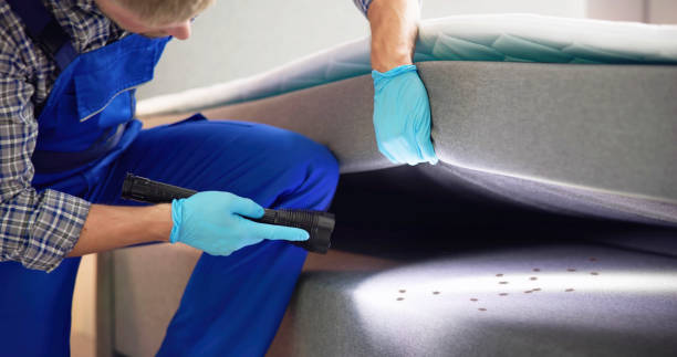 Best Wasp Removal Services  in Germantown, IL