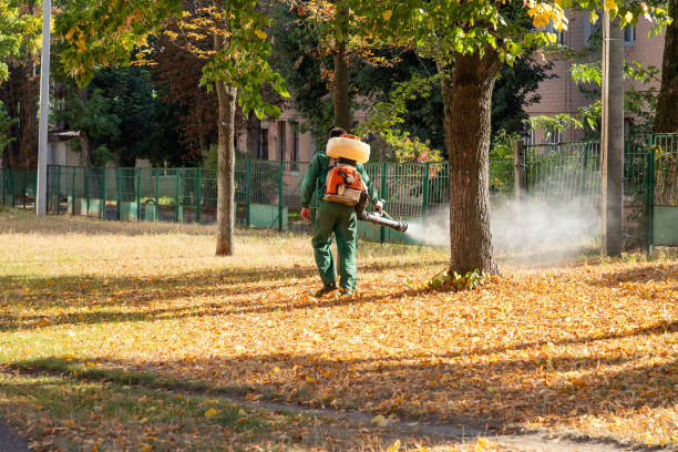 Best Exterminator Services  in Germantown, IL