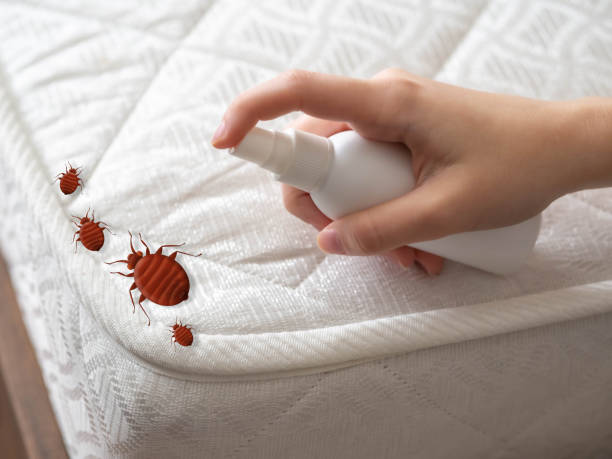 Best Pest Control Near Me  in Germantown, IL