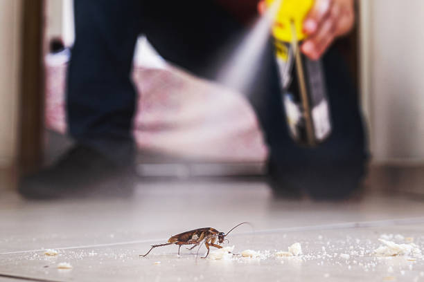 Best Local Pest Control Services  in Germantown, IL